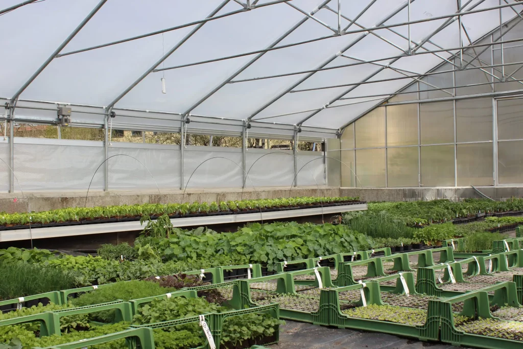 Gew&auml;chshaus von innen mit Kisten und Tischen